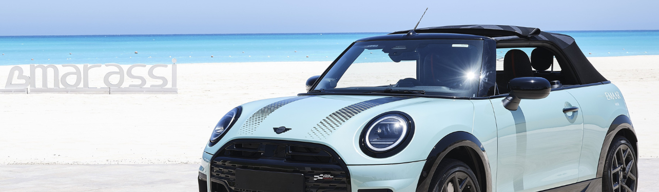 Mini Cooper (3)