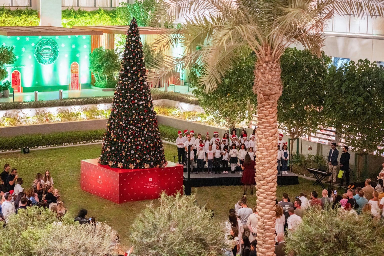 Christmas Tree Lighting